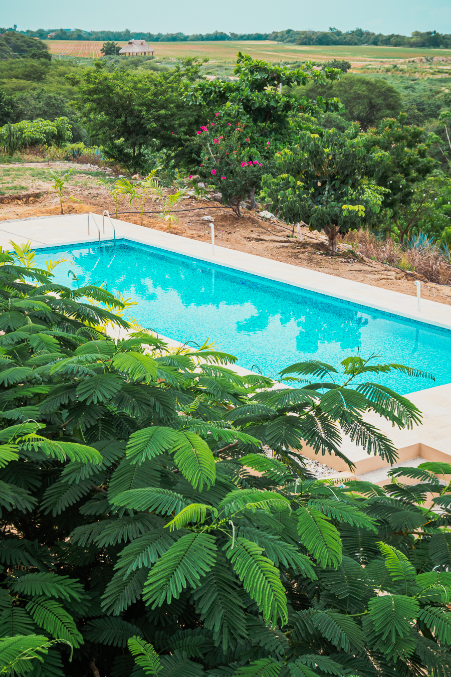 Puerto escondido Alberca